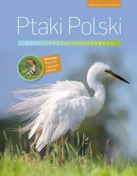 Ptaki Polski. Encyklopedia ilustrowana zdjęcie 3
