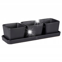 MISECZKI DO PRZEKĄSEK na tacy ceramiczne STYLOWE