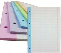 WKŁAD DO SEGREGATORA A4 50 LINIA KOLOR INTERDRUK