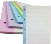 WKŁAD DO SEGREGATORA A4 50 LINIA KOLOR INTERDRUK