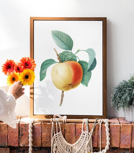 Plakat vintage jabłko kwiat 21x29,7 cm A4 na Arena.pl