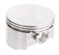 Tłok Cedrus nkpl. wertykulator WR01 15100-E030020-000I0