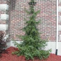 product-compare-59803039