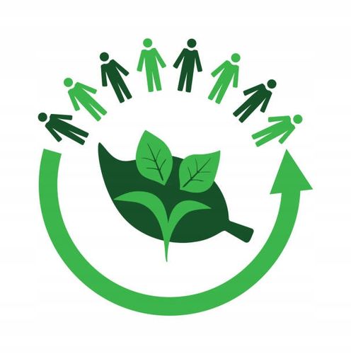 JM KOLIS Wąż ogrodowy ZEBRA 6-warstw 3/4' 10m trwały i solidny na Arena.pl