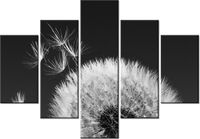 70 100CM OBRAZ 5 ELEM DMUCHAWIEC GEMMA STILES DRUK PŁÓTNO