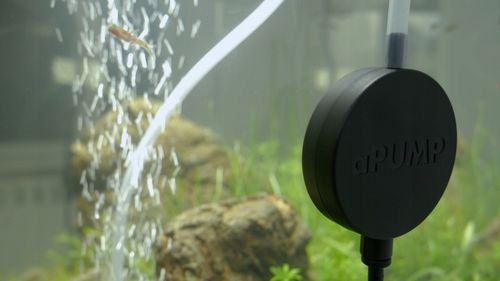 aPUMP najcichsza pompka do akwarium do 100l na Arena.pl