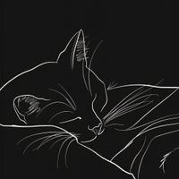 Plakat 50x50cm Nocny Spokój