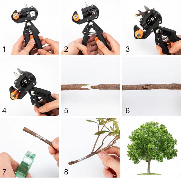 SEKATOR BLISTER NR:7031 zdjęcie 3