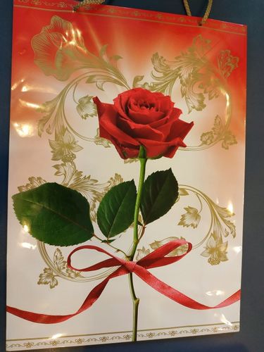 Torebka T-10L 17362 na Arena.pl