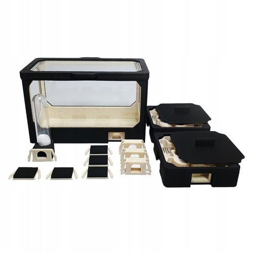 Formikarium AVERAGE M - Terrarium Dla Mrówek Modułowe 140x140 na Arena.pl