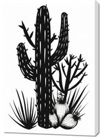 Obraz 70x100cm Kaktus w Krasie