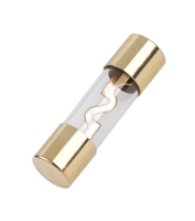 BEZ4002-70 Bezpieczniki samochodowe AGU 70A 10x38