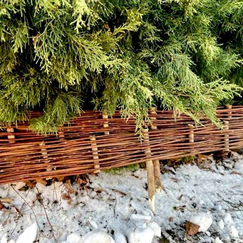 Płotek wiklinowy niski 60 cm na Arena.pl