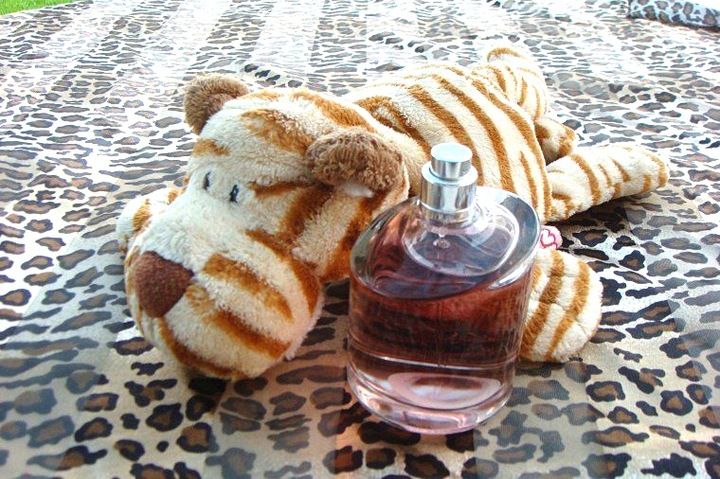 HUGO BOSS FEMME EDP 75ML FLAKON BEZ KORKA zdjęcie 9