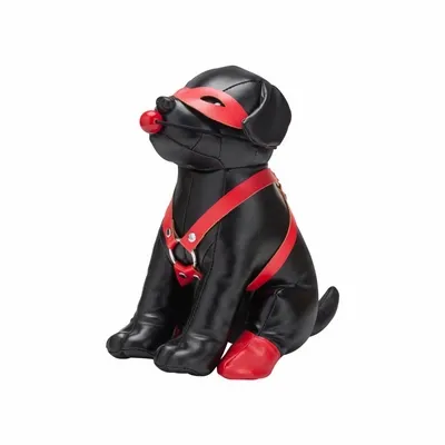 Szczeniak do tresury Prowler Red na Arena.pl