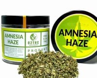 Susz konopny CBD | TRIM AMNESIA HAZE | 100 g