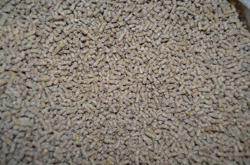 Pasza dla kur niosek granulat NIOSKA 25 kg DJ 2 na Arena.pl