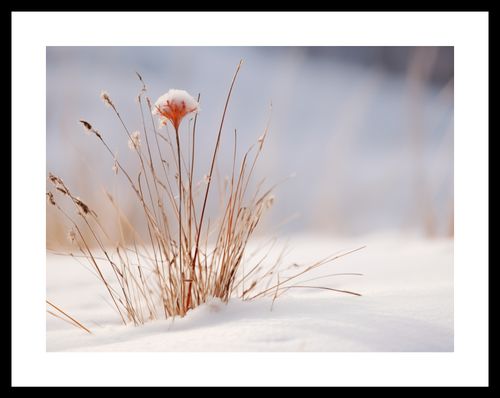 Plakat 40x30cm Zima w Detalach na Arena.pl