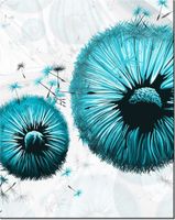 product-compare-58645643