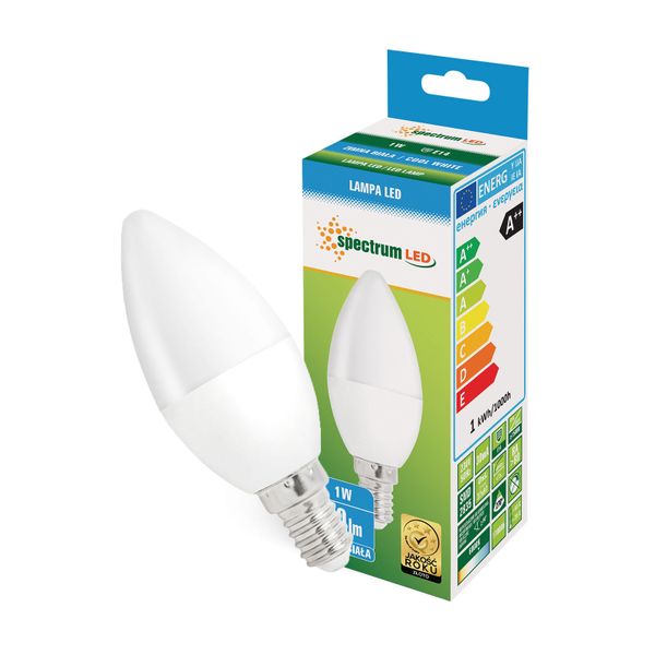 Żarówka LED E14 świecowa 1W 230V CW zimna Spectrum zdjęcie 1