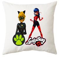 Poduszka Biedronka i Czarny Kot