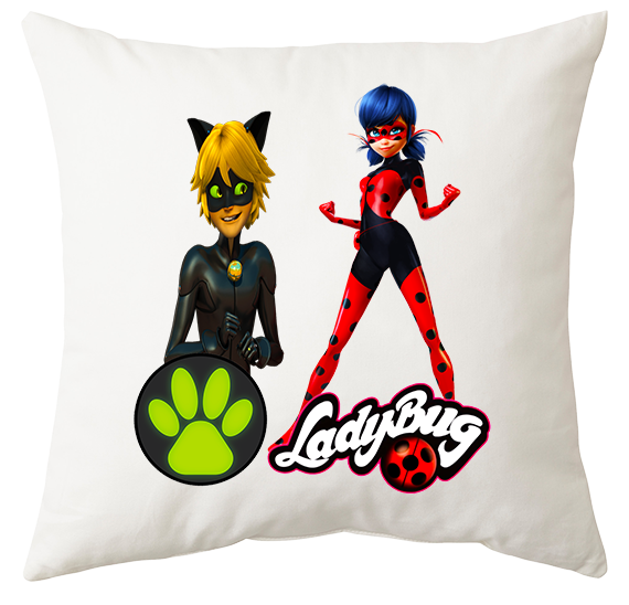 Poduszka Biedronka i Czarny Kot zdjęcie 1