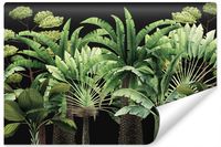 Fototapeta Do Salonu Drzewa Tropikalne PALMY Bananowce Natura 450cm x 300cm