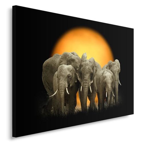 Obraz na płótnie - Canvas, Słonie 1 80x60 na Arena.pl