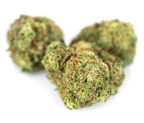 Susz konopny CBD Super Silver Haze Mocny 100 g na Arena.pl