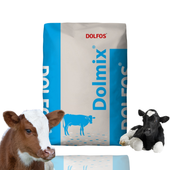 Dolmix C Mieszanka paszowa uzupełniająca z probiotykiem dla cieląt 20 kg