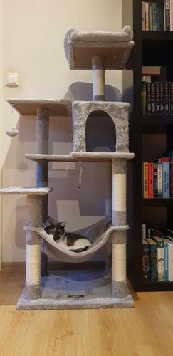 DRAPAK DLA KOTA DUŻY XL 6 POZIOMÓW WYSOKI LEGOWISKO SŁUPEK DOMEK 143cm na Arena.pl