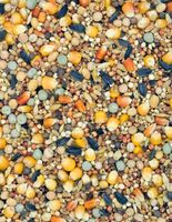 Karma pierzeniowa MDM P 25 kg dla gołębi