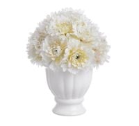 product-compare-64410583