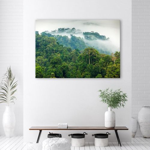 Emaga Obraz na płótnie, Las we mgle - 100x70 na Arena.pl