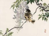 Plakat 55x40cm Sparrow on a Branch, Kōno Bairei Japoński Vintage do Salonu