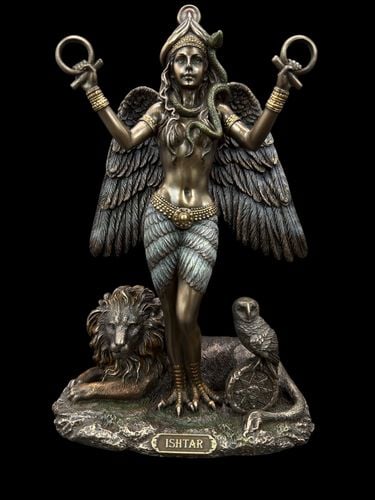 BOGINI WOJNY ISZTAR  VERONESE  WU77870A4 na Arena.pl