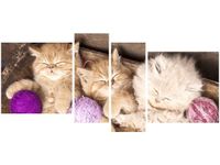 120CM 55 OBRAZ 4 ELEM ŚPIĄCE KOTY MISCE ŚCIENNY