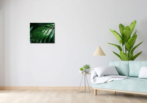 Obraz 50x40cm Żywa Łagodność na Arena.pl