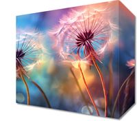 Obraz 20x20cm Delikatna Magia