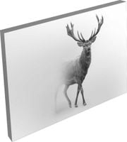 OBRAZ na płótnie jeleń do pokoju salonu 120cm