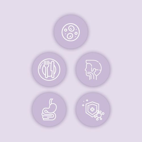 NutriKid Multi Fibre TRUSKAWKA ZESTAW 4x200ml na Arena.pl