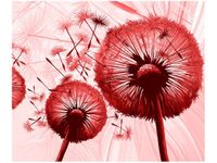 60CM 50CM OBRAZ ŚCIENNY DMUCHAWCE CZERWIENI DRUK PŁÓTNO