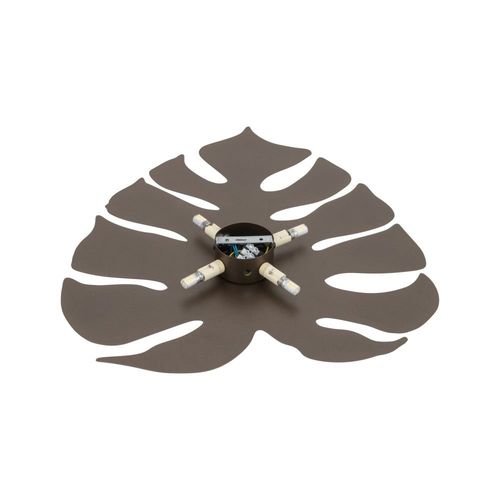 kinkiet monstera xl brown 5822 tk lighting na Arena.pl