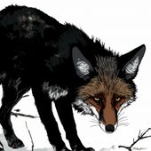 Plakat 20x20cm Nieufny Lis