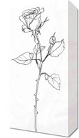 Obraz 20x40cm Kontur Róży