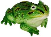 żaba gumowa z groszkiem 2-rodzaje 11cm