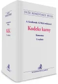 Kodeks karny. Komentarz