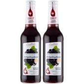 Excellence Antyoksydacja Suplement diety syrop aroniowy 320 ml x 2 sztuk