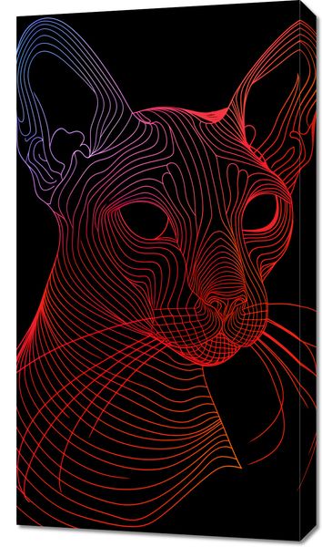 Obraz 50x90cm Cyfrowa Kocica zdjęcie 1