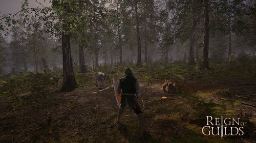 Reign of Guilds Klucz CD KEY KOD BEZ VPN WYSYŁKA 24/7 na Arena.pl